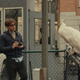 Image for article titled I Origins Went To Insane Lengths To Get Its Science Right
